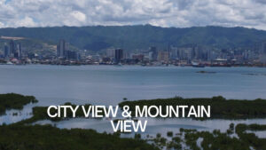 WJV Condominium Mountain City view