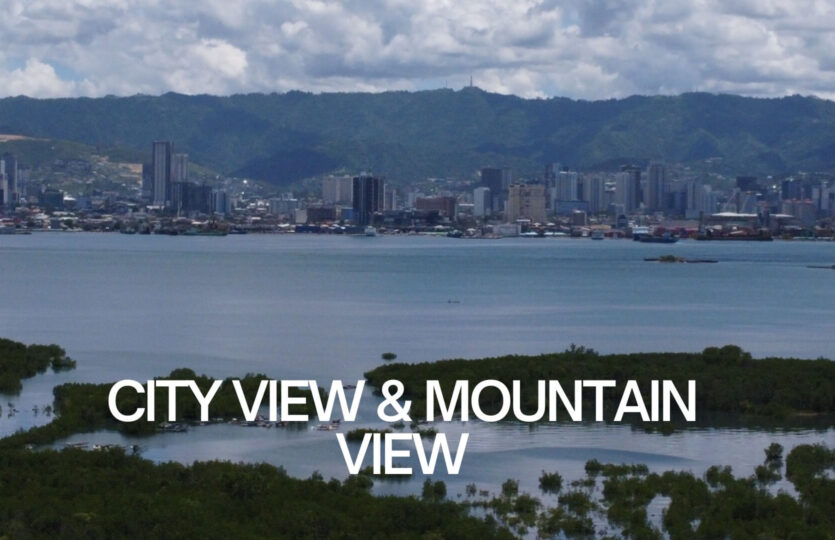 WJV Condominium Mountain City view