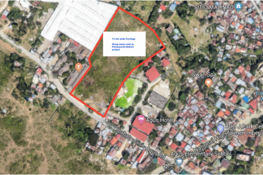 71.5 Frontage Lot for Sale in Agus, Mactan