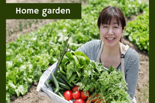 Ashana Coast Residences Liloan (2026)