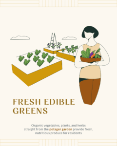 Lucima_Sustainability_1_Potager Garden