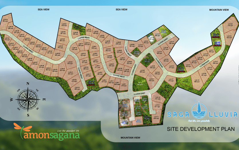 amonsagana PHASE 2 - Actual Sales Inventory (Feb 20, 2026)
