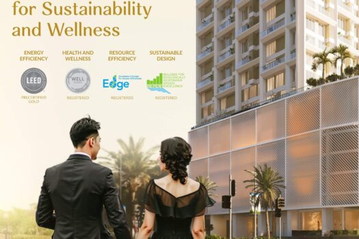 lucima cebu standards