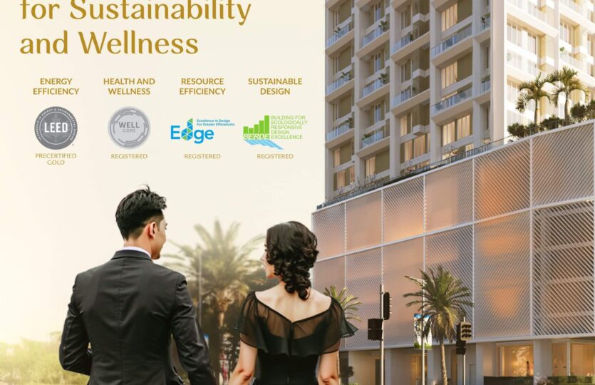 lucima cebu standards