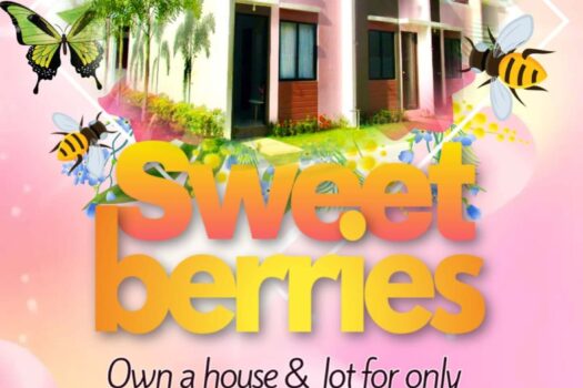 sweetberries promo 2026