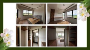 ashana pearl update 3