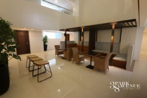 38 Park Amenity Premiere recreation