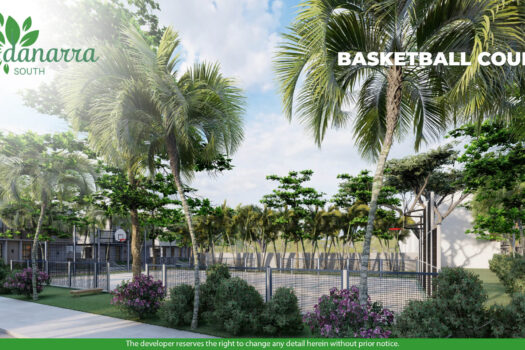 Danarra South – House and Lot for Sale in Minglanilla, Cebu (2026)