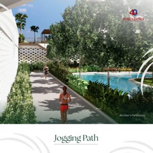 palmava jogging