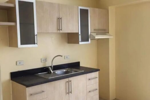 Woodcrest Residences Cebu Condo